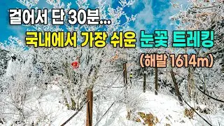 해발 1614m 까지 걸어서 30분 만에 갈 수 있는 국내 겨울 최고의 눈꽃 산행지 , 무주 덕유산 향적봉과 중봉 트레킹 코스를 소개합니다.