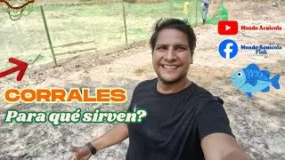 Para qu&eacute; sirven los corrales en piscicultura??🐟🐟🐟En este video lo descubrir&aacute;s!!! 😁😁