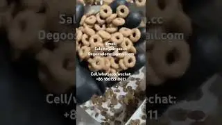Coco pops cereal Koko krunch choco ringz food manufacturing equipment choco ring crackers chips line
