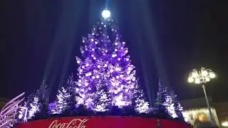 New Year's tree & Color lighting, Swarovski Christmas tree