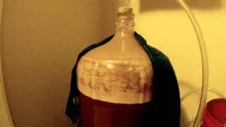 Zippety-Doo-Da Double IPA - 47 hours primary fermentation