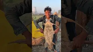 छोटे बच्चे पकड़ी ढ़ेर सारी मछलियाँ #Bigfish  #fishing life #fish #fishingtrip #gonefishing #vlog