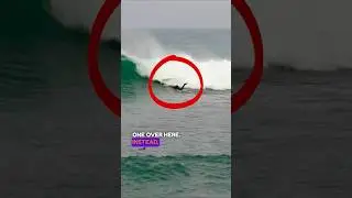 Серферы, держите вашу доску | Turtle Roll Big Surfboards