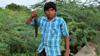 Primitive Tech Smart Boy Finding CatFish in My Village | Catfish Hunting Video | Food Tech