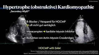 〖Echokardiografie〗 Hypertrophe Kardiomyopathie - HFpEF Ph&auml;notyp🫀