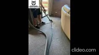 Emergency Carpet Cleaning Brisbane | Emergency Carpet Cleaning in Brisbane