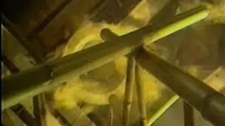 Kenny Ho Book & Sword 91'