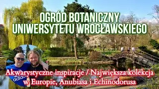 OGRÓD BOTANICZNY UNIWERSYTETU WROCŁAWSKIEGO | Inspiracje Akwarystyczne
