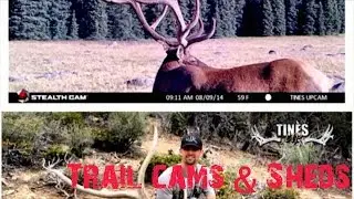 Using Trail Cameras to help find SHED ANTLERS!!