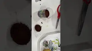 Week 2- delicious desserts kit