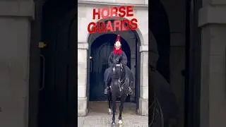 HORSE ROYAL GUARDS🇬🇧#royalkingsguards #kingsguard #royalguards #horseguard #london #army #soldier