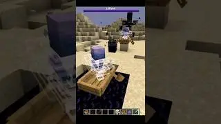 Catching the Wither's wither skulls in Minecraft...