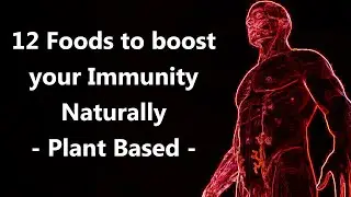 12 Foods to boost your Immunity Naturally - Plant Based Food