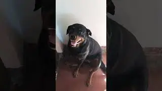 &ldquo;July Bingo &ndash; Viral Entertainment Video 2025 | Funny Moments | Trending Bengali Entertainment&rdquo;