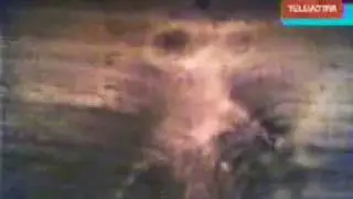 ARE THESE REAL ALIENS? ESTOS SON ALIENS REALES?