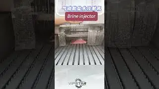 Brine injector