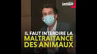 Il faut interdire la maltraitance des animaux