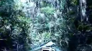 Peru - Manu Biosphere Reserve - Rainforest - Lake Sandoval