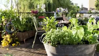 Коннектор Gardena Premium - www.gardena.hsqv.by