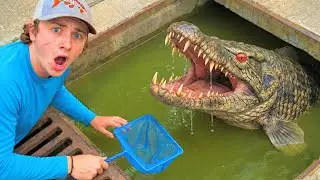 I Found a Mysterious Sewer FILLED with AQUARIUM FISH!