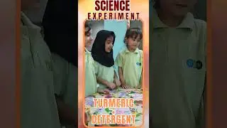 Turmeric turns reddish-brown when detergent is added. #experiment #science #school #montessori #red