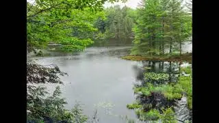 The Pond AR
