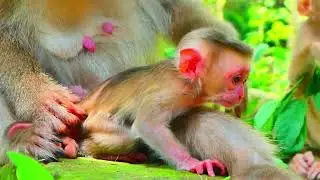 Newborn Today
