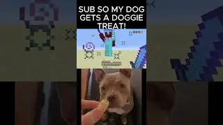 1 sub = 1 treat #minecraft #hypixelbedwarsmontage #pvp #hypixelmontage #gaming #besthypixel #montage