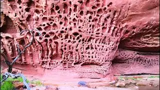 Honeycomb Gorge at Kennedy Range NP - Western Australia