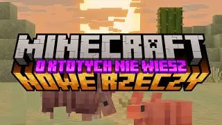 Nowe Rzeczy w Minecraft, Kt&oacute;rych NIE WIDZIAŁEŚ (CHYBA) (548/563)