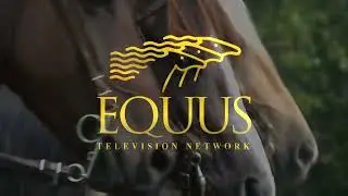 EQUUS Television Network