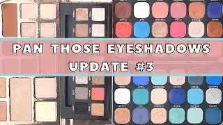 PAN THOSE EYESHADOWS 2020 I UPDATE 3 I Project Pan 2020 I Hello Bonus Pan!