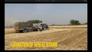 Formation of Wheat Straw | Dairy life | Tractor | Cow Food | Chahal Dairy Farm.