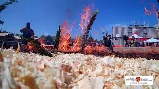 MFire Denver Wildfire Demo