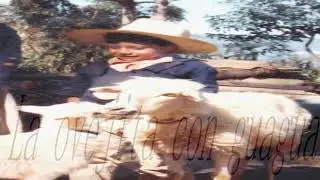 La Casa Nueva (Ovejita con guagua) Duo Los Llaneros Exito de 1983
