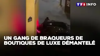 Un gang de braqueurs de boutiques de luxe démantelé｜TF1 INFO
