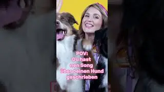 Hundesong #hunde #dogs #dance #song #bellaciao #hundeliebe
