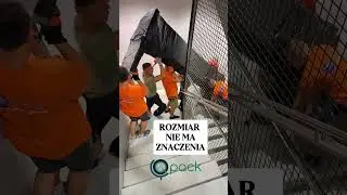 Qpack przeprowadzki oferta