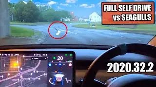 Autopilot DOESN'T stop for Seagulls! - Tesla FSD in Swindon Town 2020.32.2