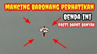 MANCING BARONANG perhatikan benda ini pasti dapat banyak #rabbitfishfishing#mancingmania#garongernus