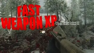 COLD WAR ZOMBIES FASTEST WEAPON XP + RANK UP FAST!! (Die Machine) POST PATCH