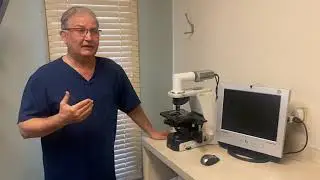 Primary cause of periodontal disease is bacteria!