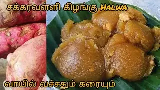 😋 வாயில் கரையும் சக்கரவள்ளி கிழங்கு Halwa | sweet potato halwa recipe in tamil 