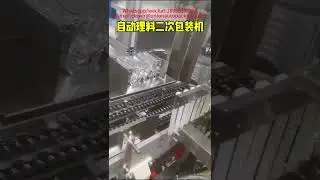 Automatic material sorting and secondary packaging machine