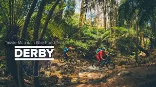 The Tassie MTB Road Trip: Blue Derby