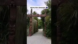 Amazing Flowers! 🌺 Hamilton Gardens, New Zealand. 🇳🇿 #shorts #newzealand #hamilton #garden