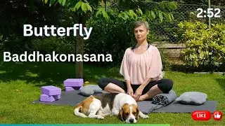 Pillang&oacute; p&oacute;z - Butterfly Pose - Baddhakonasana 2:52 min - Himalayan Version