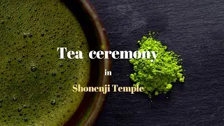 Traditional Tea Ceremony Experience In Imai-cho, Nara prefecture, Japan