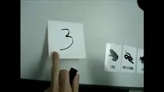 Sixth (6th) Sense Animal Prediction ~ Magic Trick