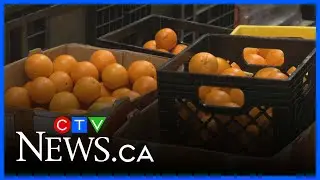 Food bank exceeds holiday goals thanks to generosity of community